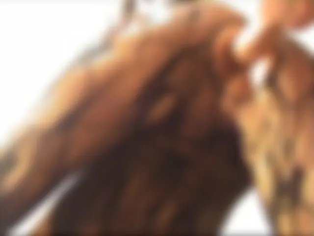Eingesaut