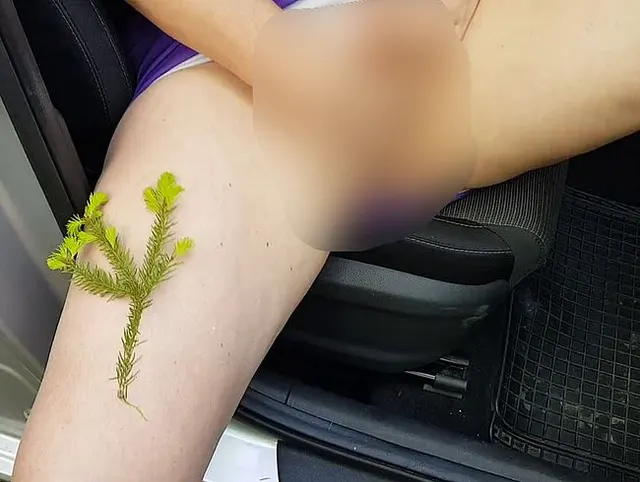 Vorschau aus Auto: Am Parkplatz habe ich mich vor Geilheit schnell gefingert ...