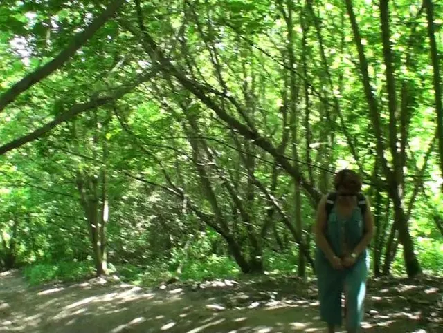 Durch den Wald
