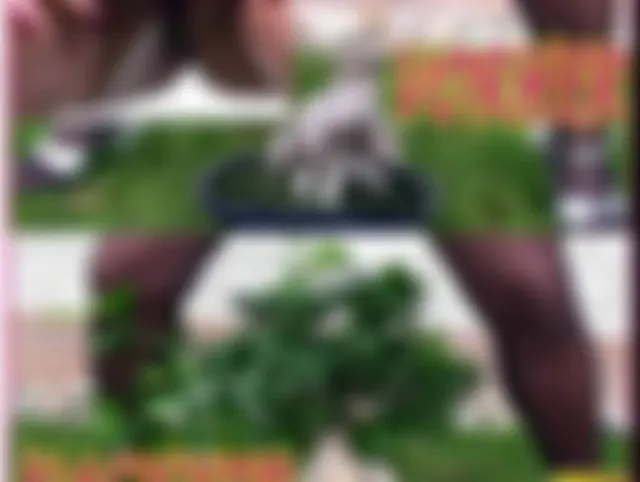 Mit meiner kostbaren Pisse den Bonsai zum Erwachen gebracht