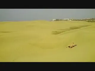 Solo in den Dünen