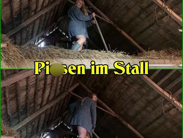Pissen im Stall
