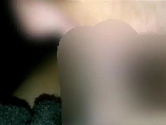Sinnliche Mona - Sein Schwanz in meinem Mund bis zum Orgasmus !!!