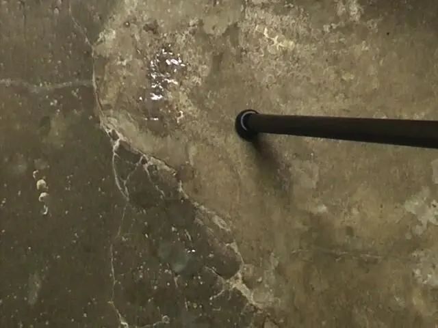 mit Schwanzvibrator abgespritzt
