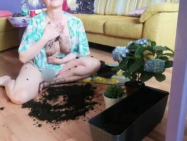 gedüngte Blumenerde