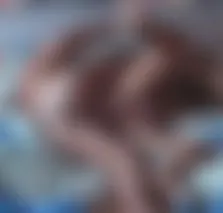 xxl schwanz im arsch