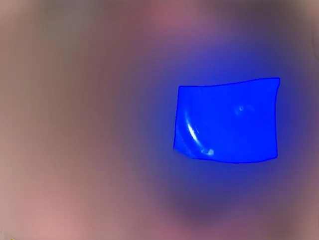 Sina Spritzig – Mega!!! Flasche tief in meiner behaarten Möse!!!