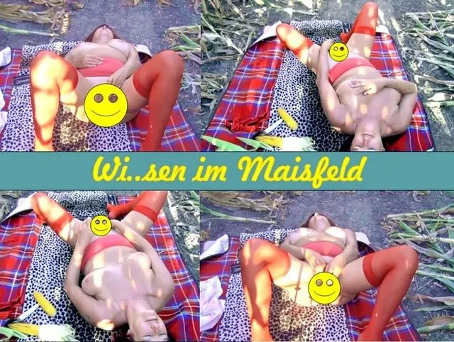 Wichsen im Maisfeld