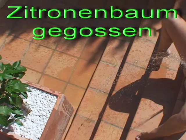 **_Pisse auf dem Zitrobaum_**