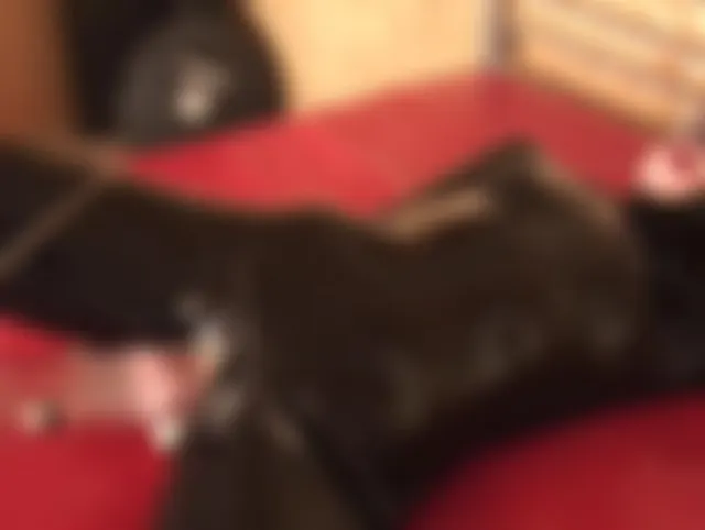 Muschi fett gepumpt