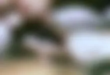 Wife4Black