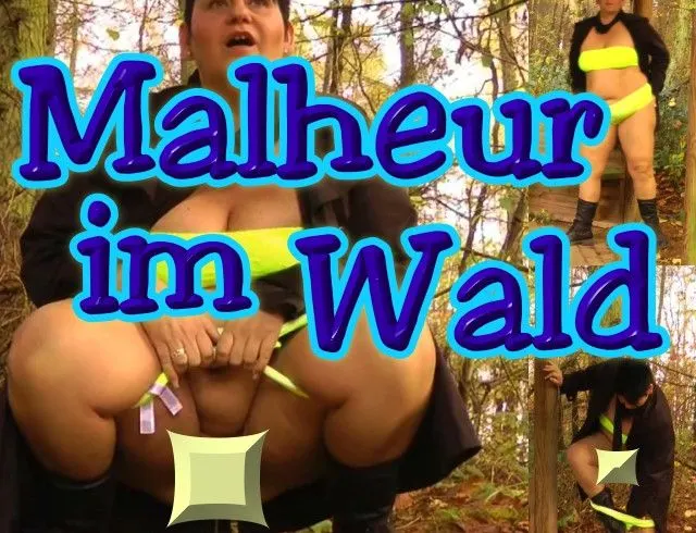 Malheur im WALD